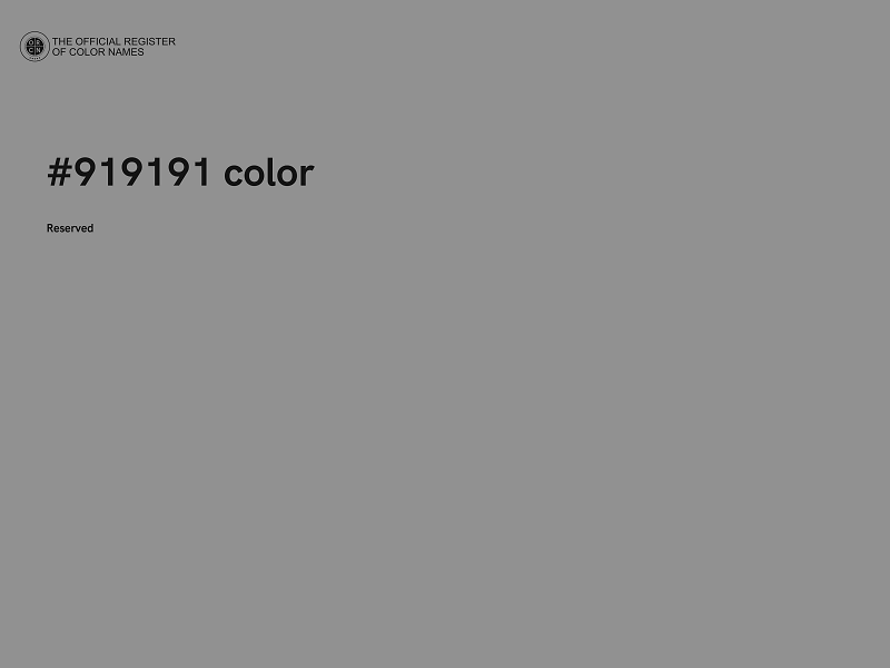 #919191 color image