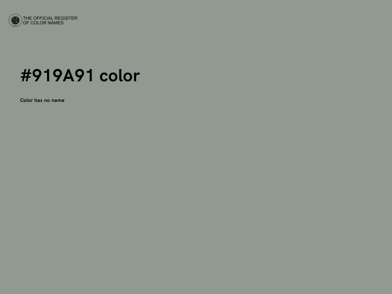 #919A91 color image