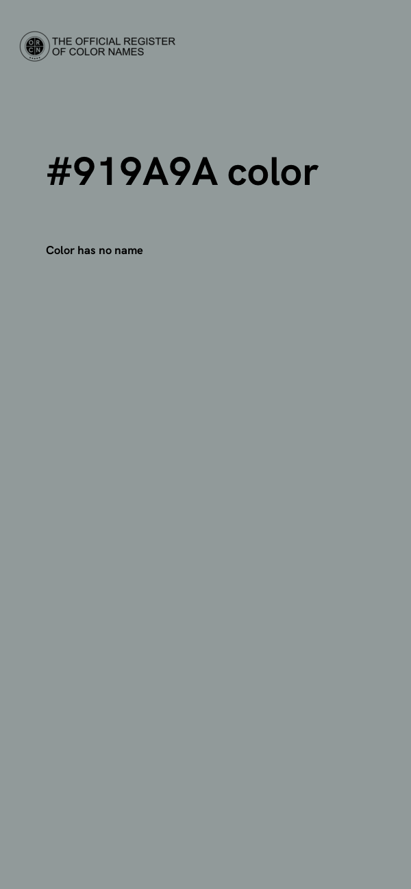 #919A9A color image