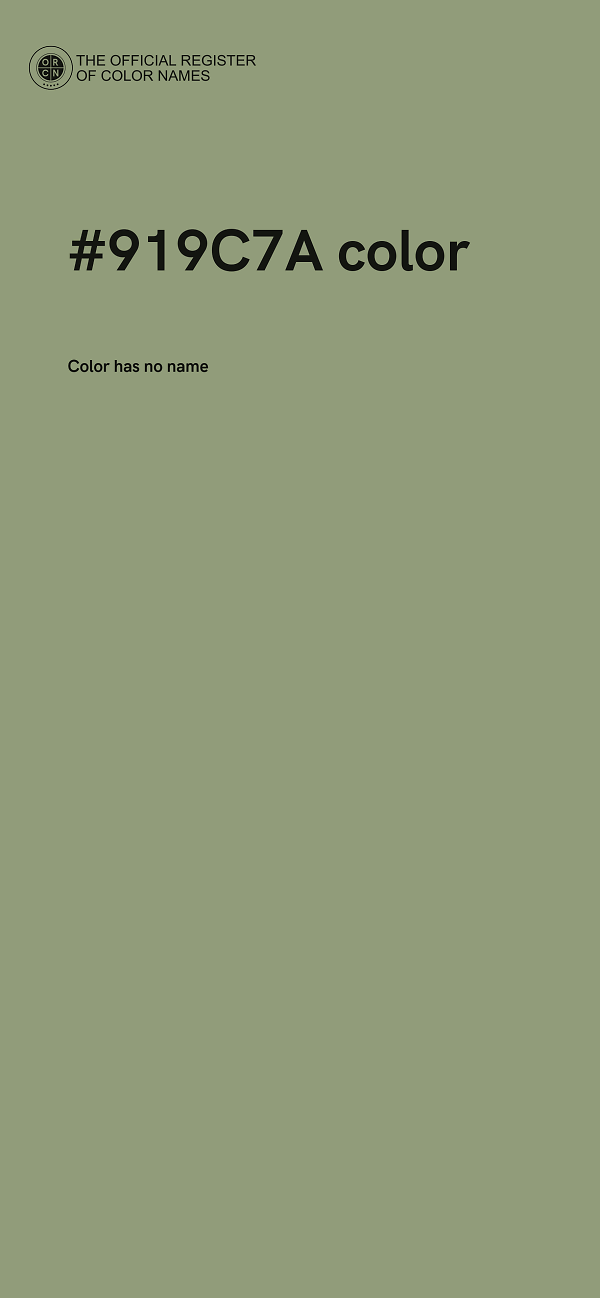 #919C7A color image