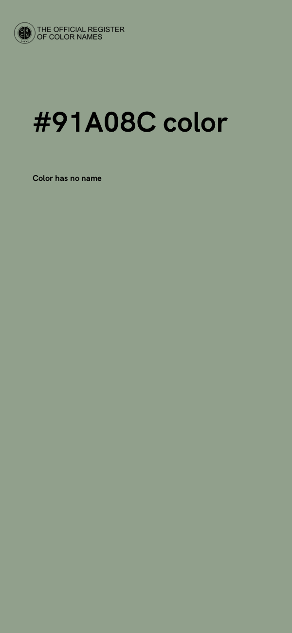 #91A08C color image