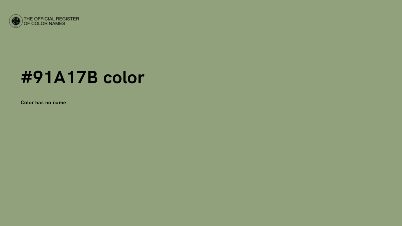 #91A17B color image