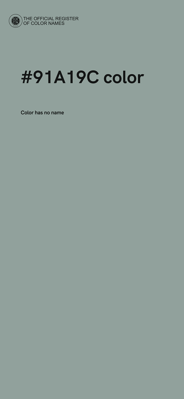 #91A19C color image
