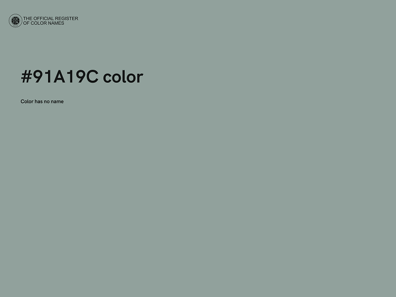 #91A19C color image