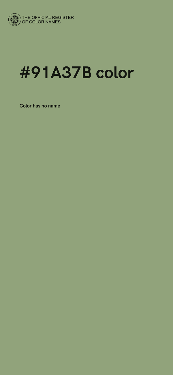 #91A37B color image
