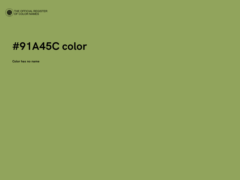 #91A45C color image