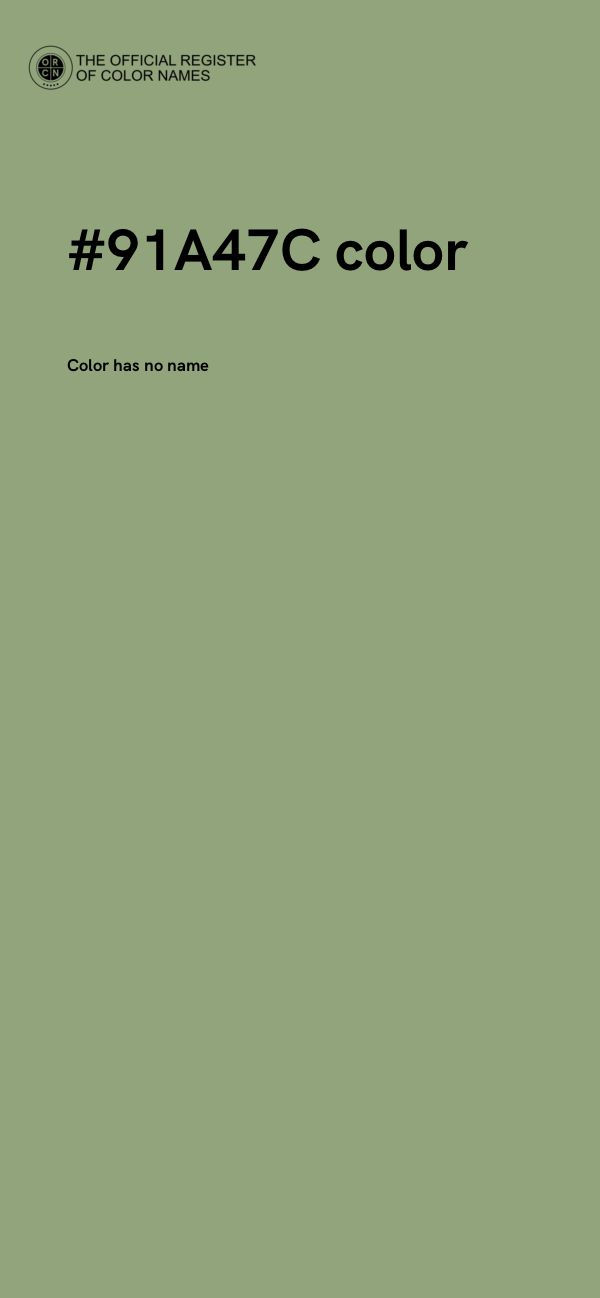 #91A47C color image