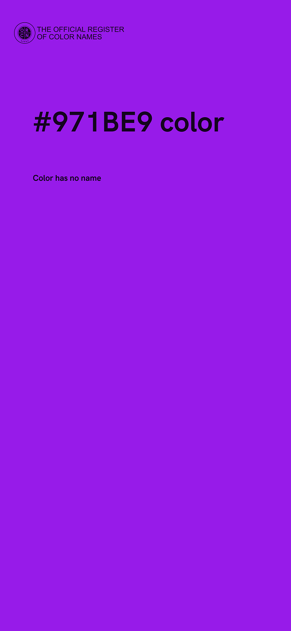 #971BE9 color image