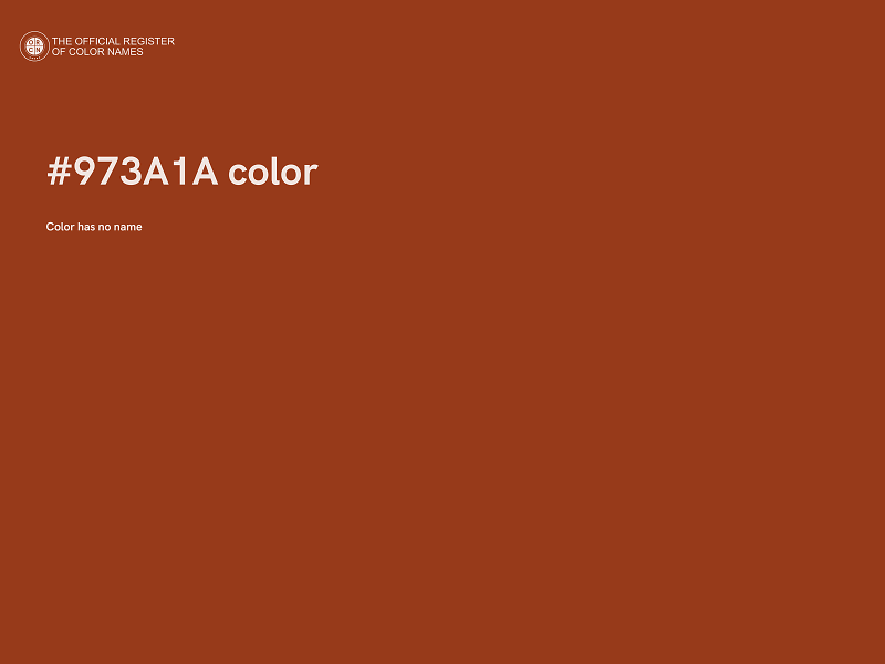 #973A1A color image