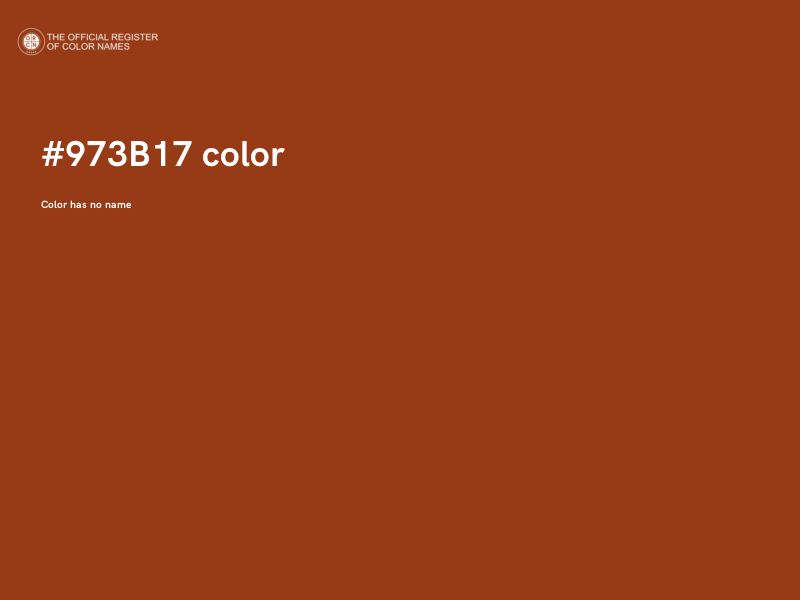 #973B17 color image