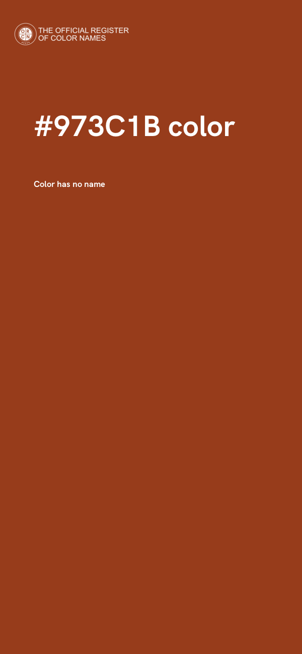 #973C1B color image