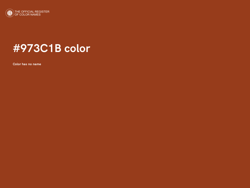 #973C1B color image