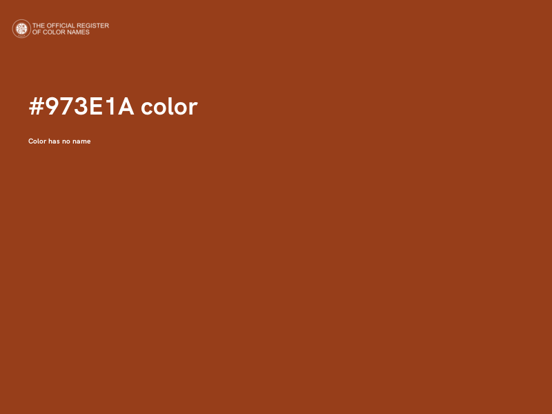 #973E1A color image