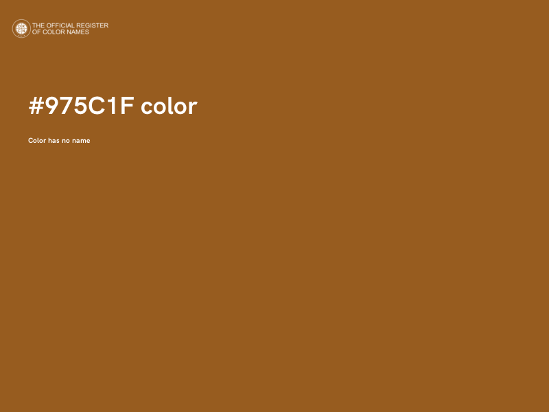 #975C1F color image