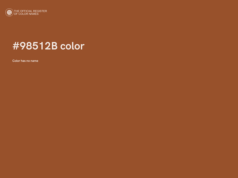 #98512B color image