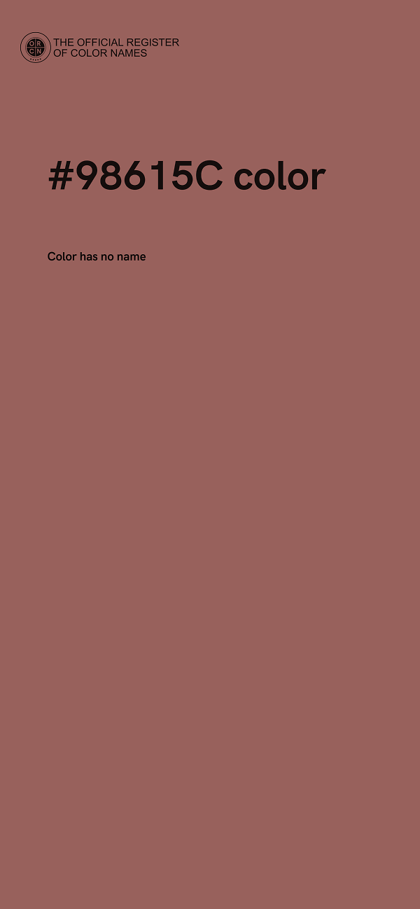 #98615C color image