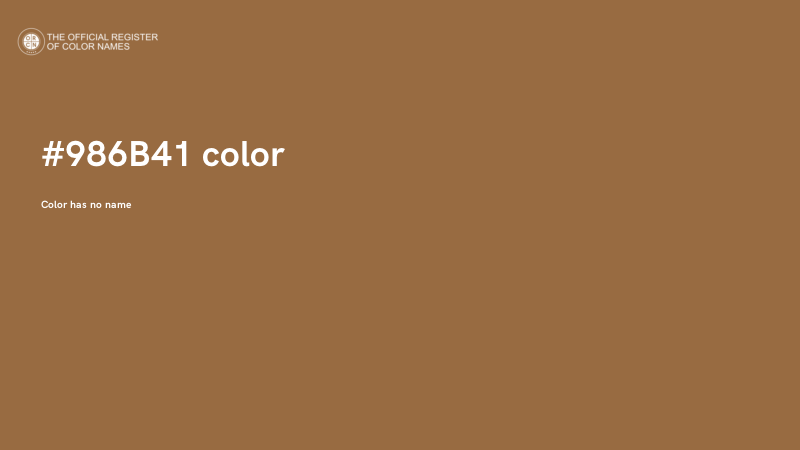 #986B41 color image