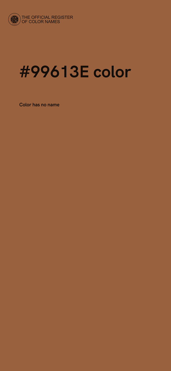 #99613E color image