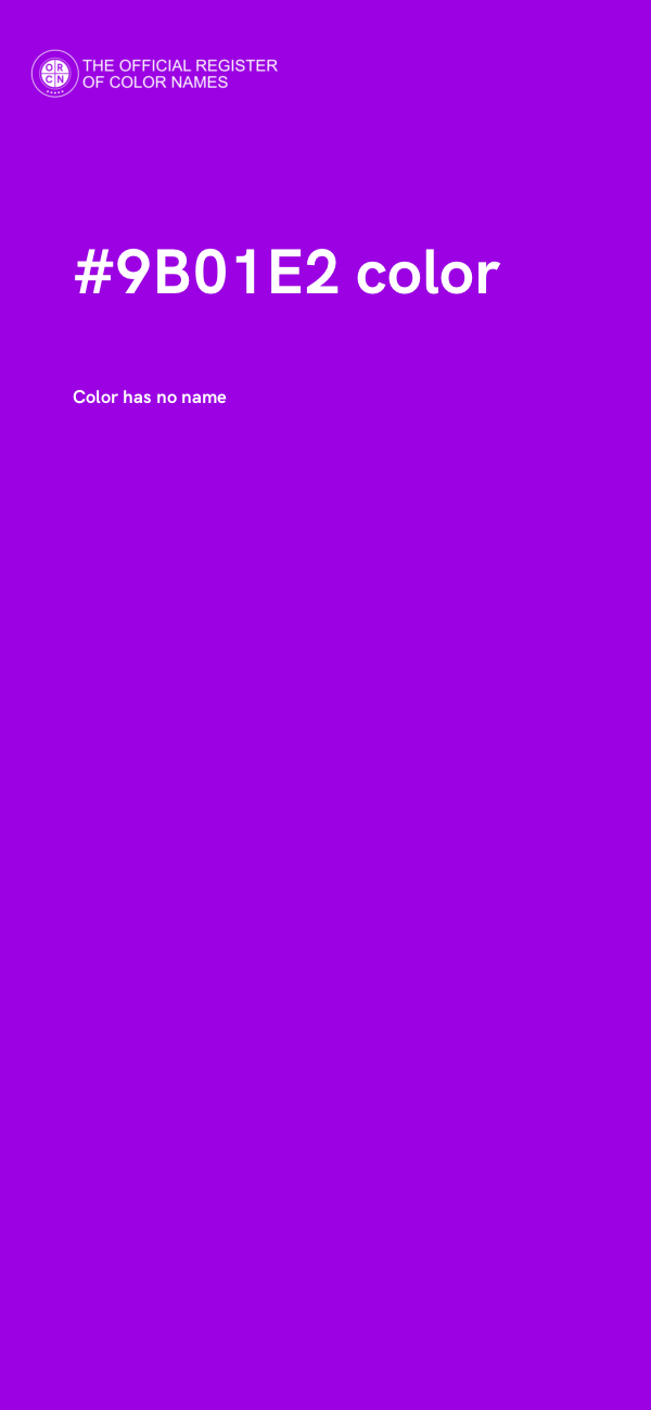 #9B01E2 color image