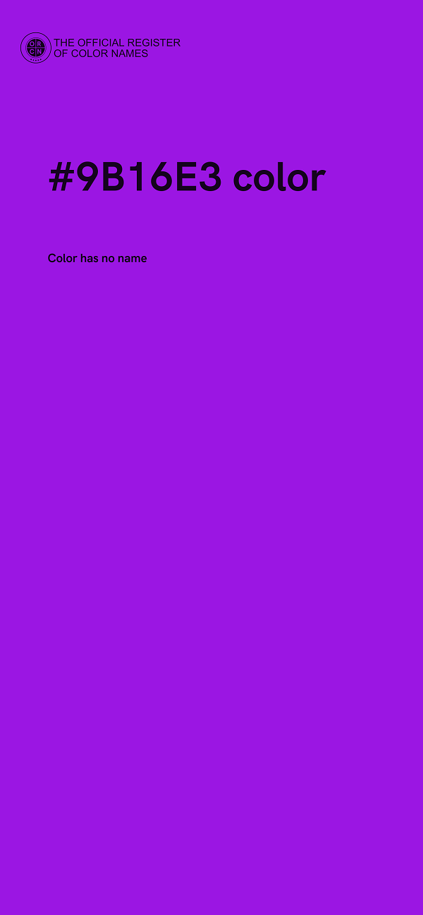 #9B16E3 color image