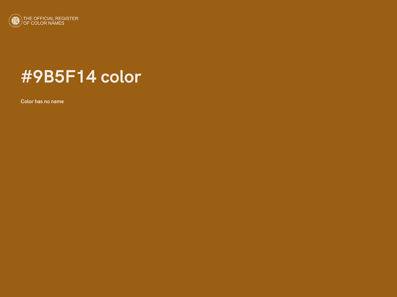 #9B5F14 color image