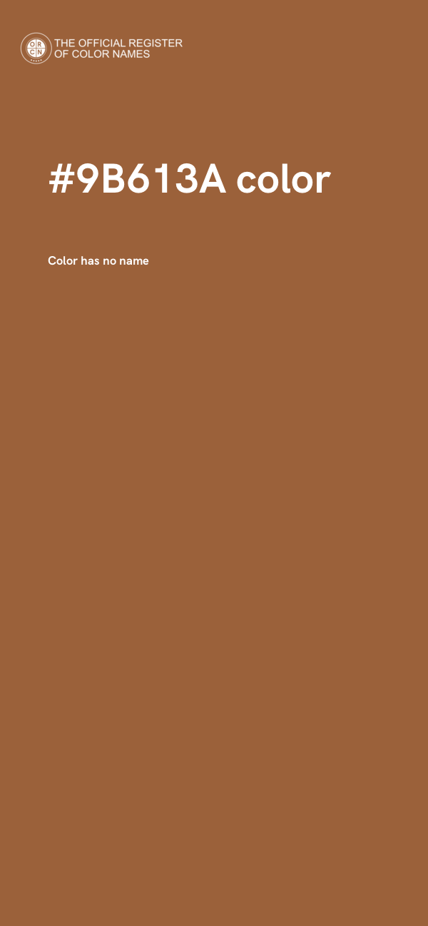 #9B613A color image