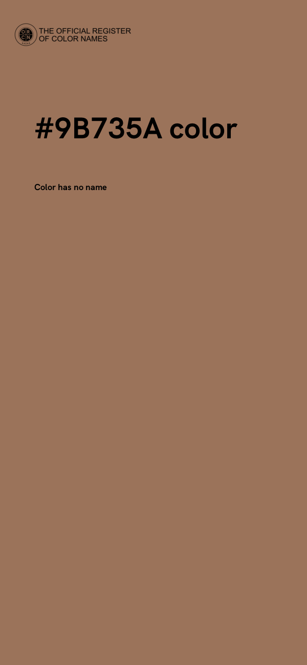 #9B735A color image