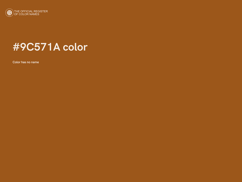 #9C571A color image