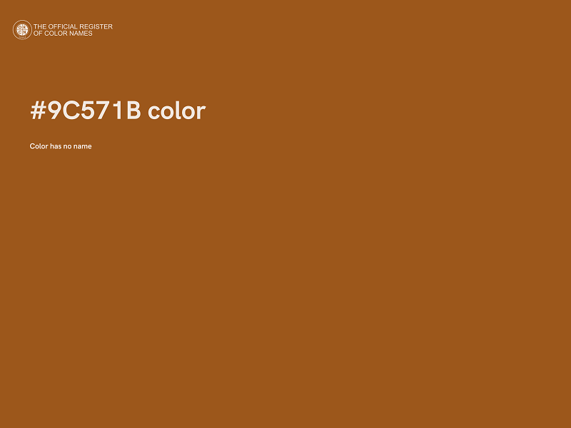 #9C571B color image