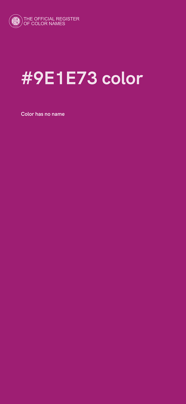 #9E1E73 color image