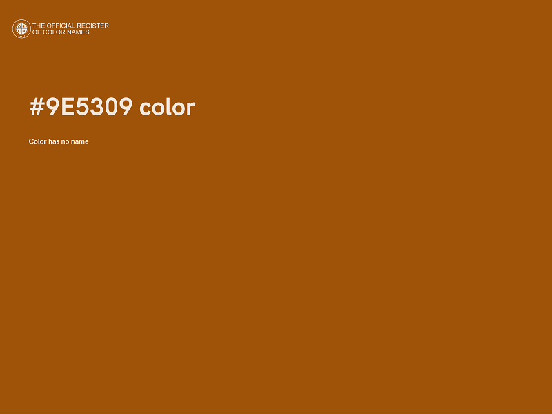 #9E5309 color image