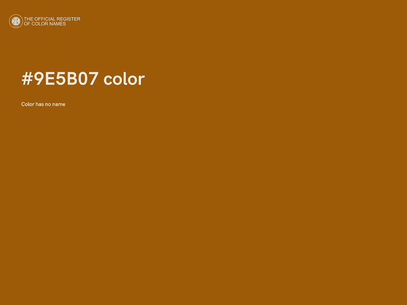 #9E5B07 color image