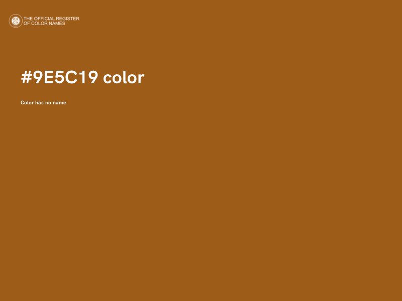 #9E5C19 color image