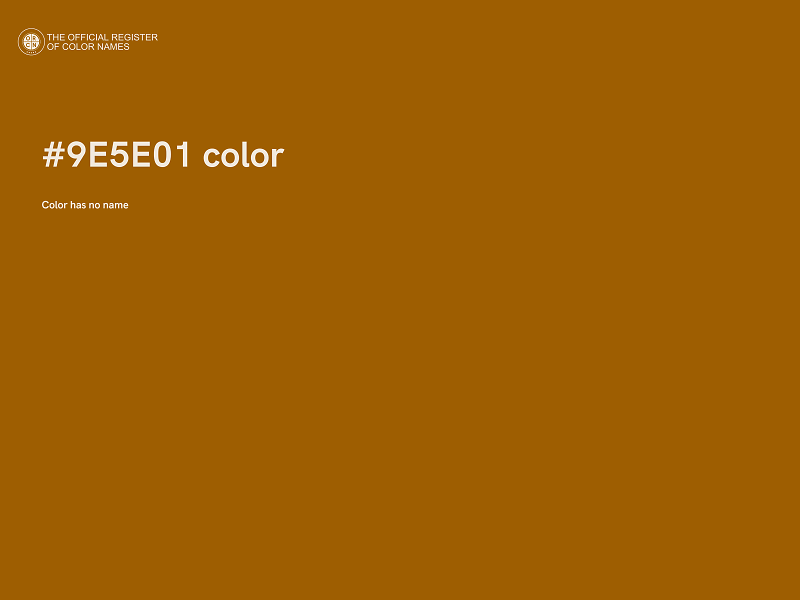 #9E5E01 color image