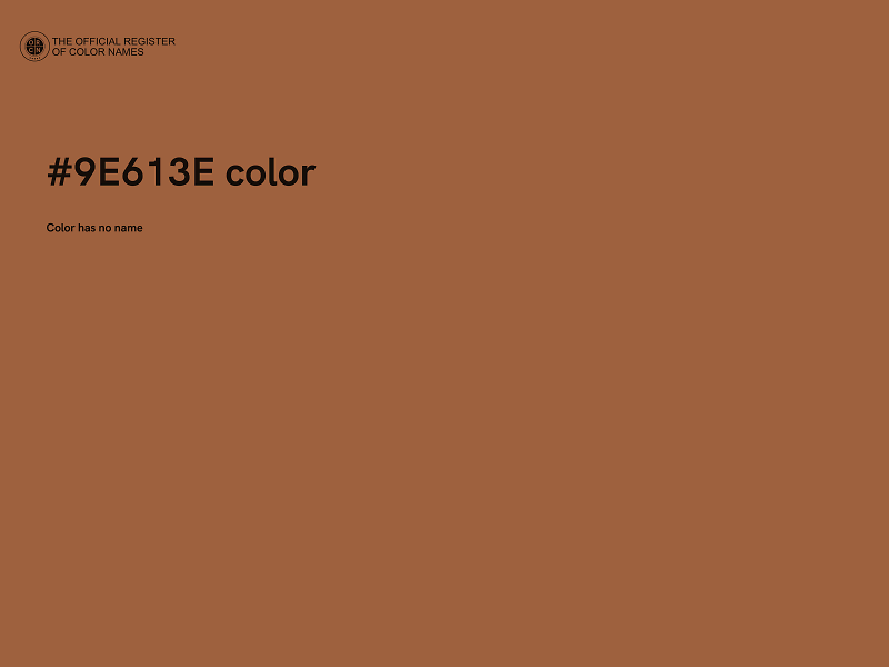 #9E613E color image