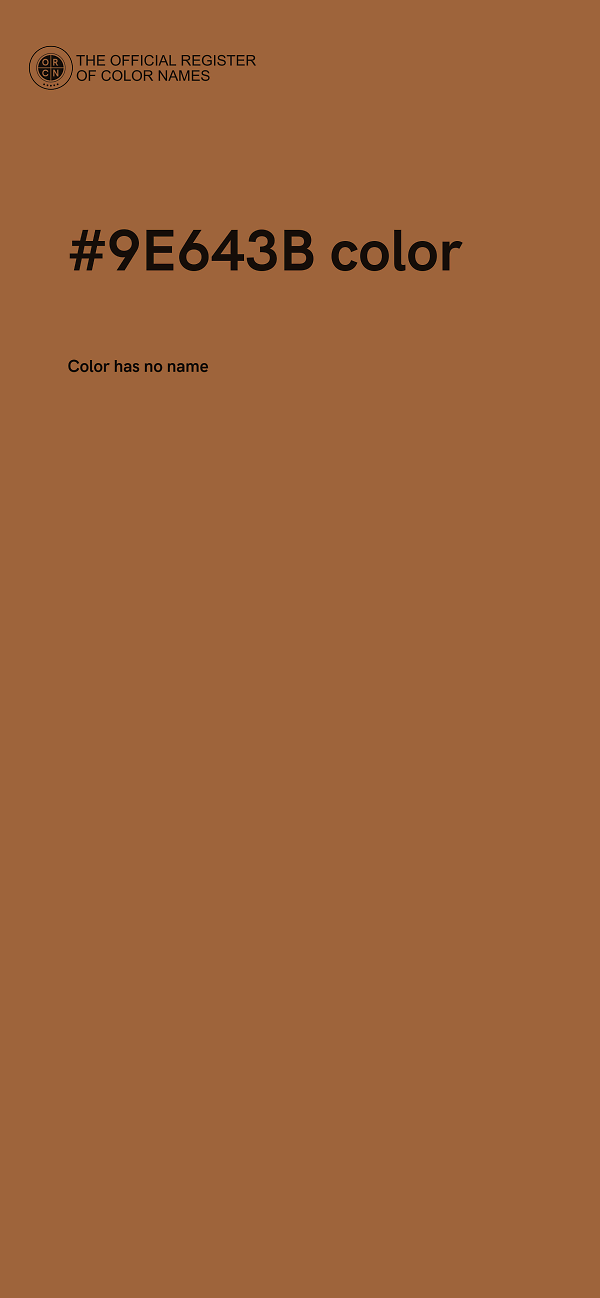 #9E643B color image