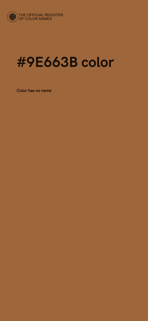 #9E663B color image