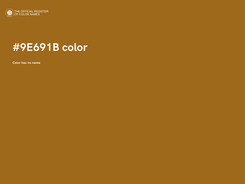 #9E691B color image