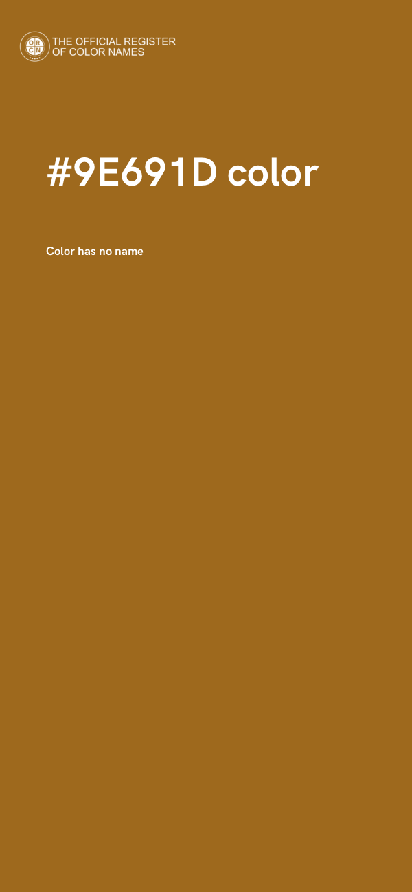 #9E691D color image