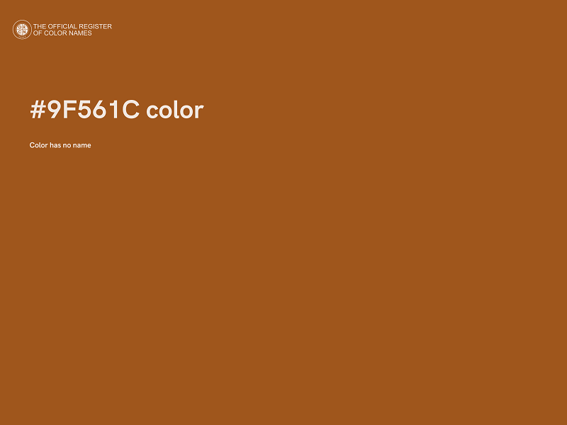 #9F561C color image