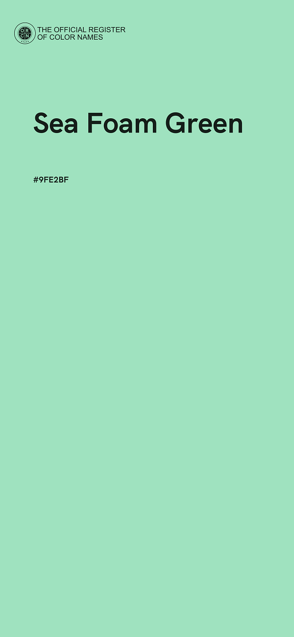 #9FE2BF - Sea Foam Green color image