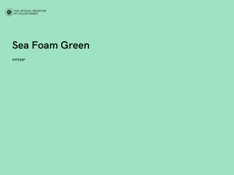 #9FE2BF - Sea Foam Green color image