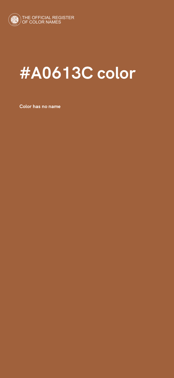 #A0613C color image