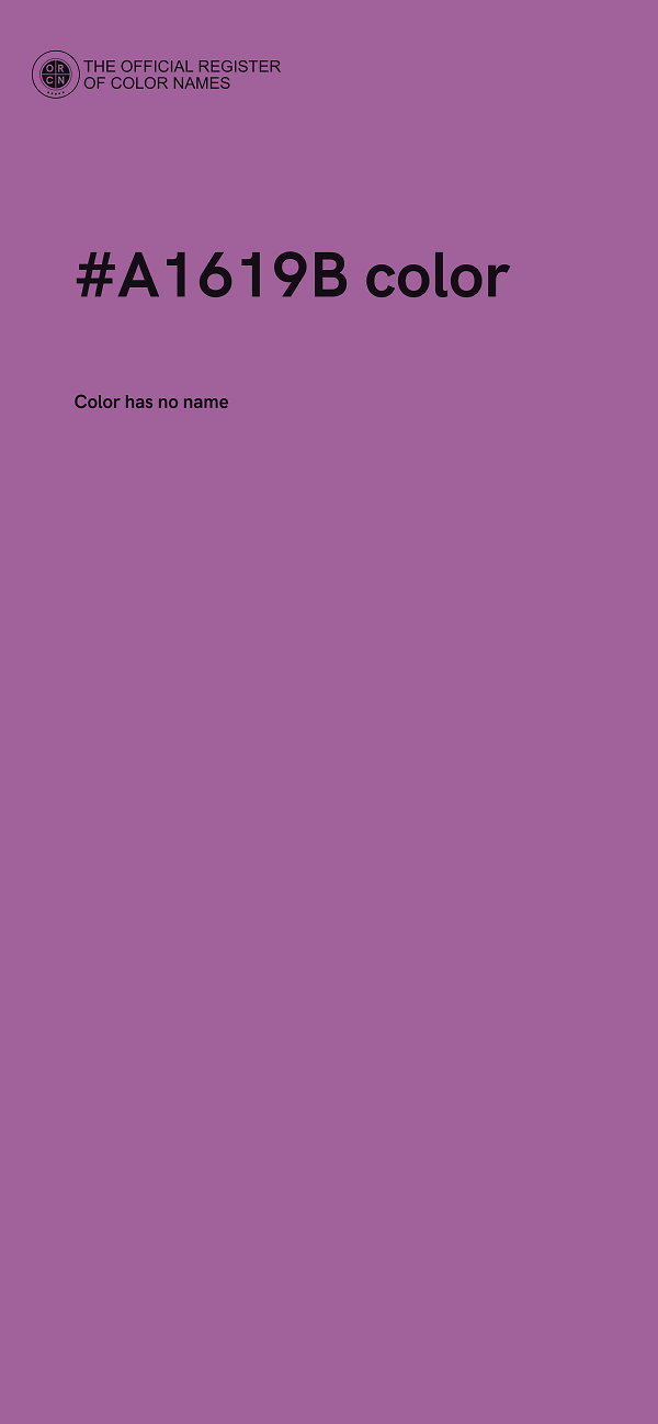 #A1619B color image