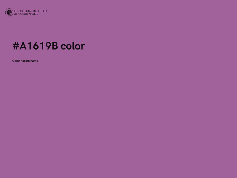 #A1619B color image
