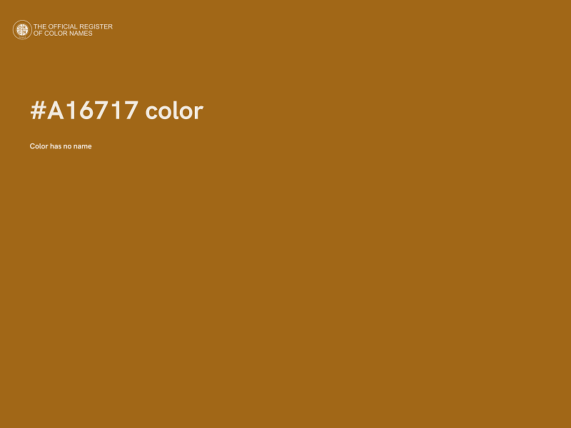 #A16717 color image