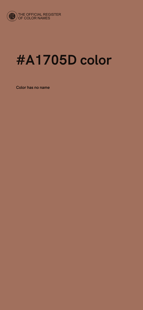 #A1705D color image