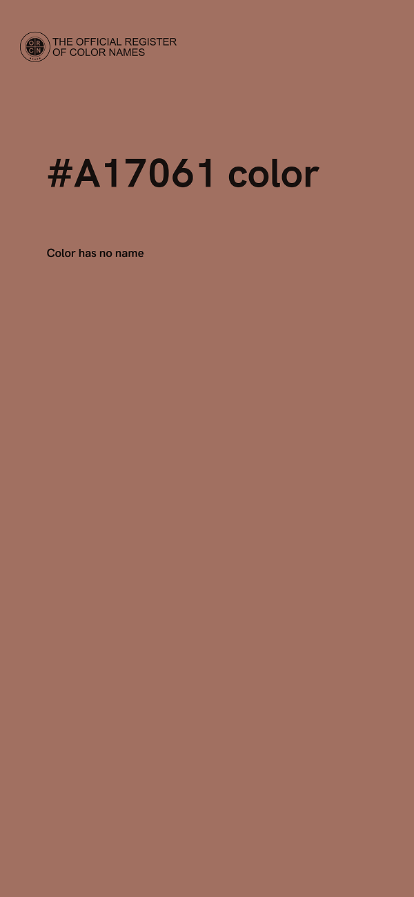 #A17061 color image