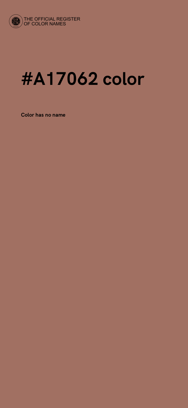 #A17062 color image