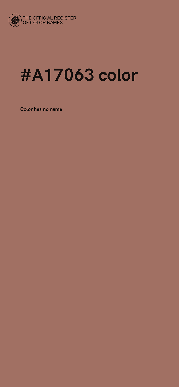 #A17063 color image